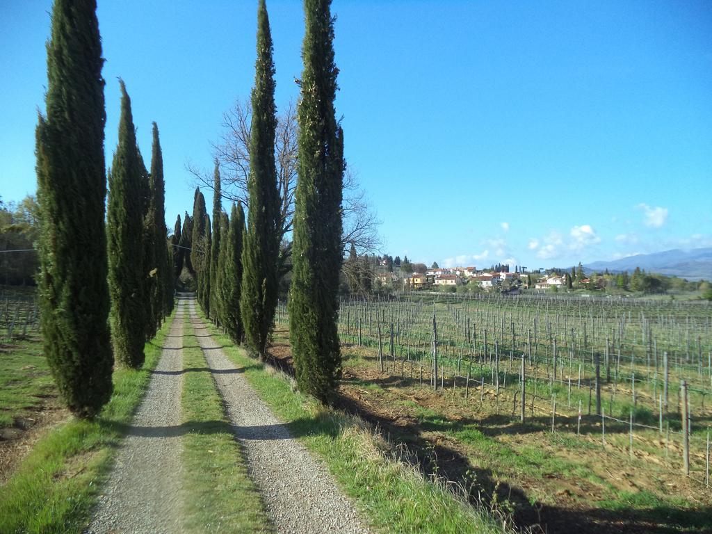 Agriturismo Albergotti Arezzo Kültér fotó