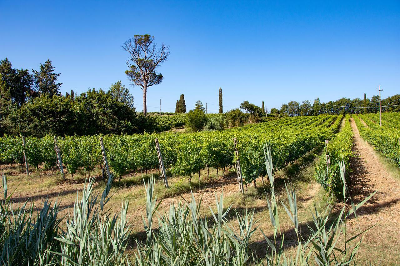 Agriturismo Albergotti Arezzo Kültér fotó